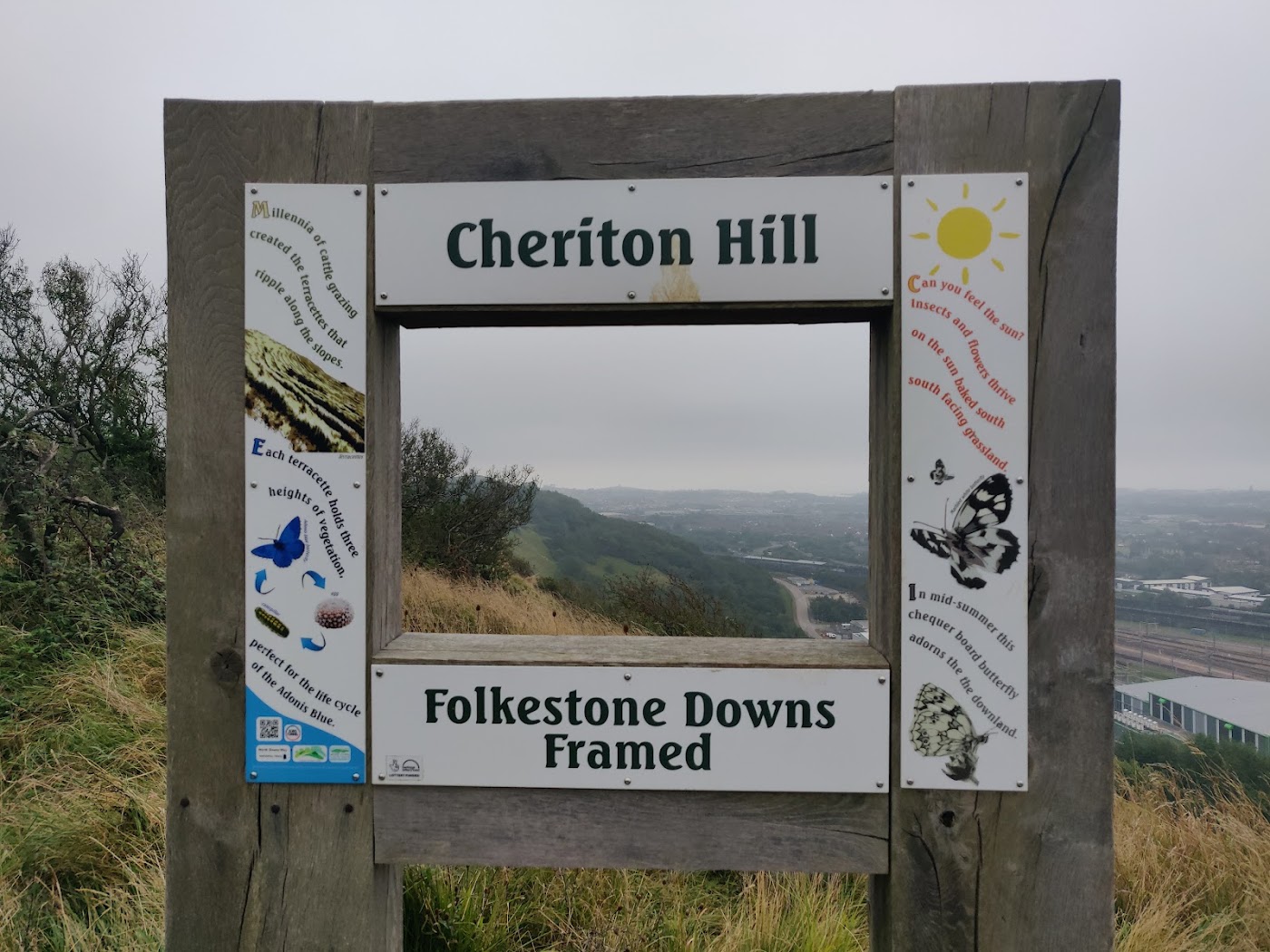 The Folkestone Downs with the coast beyond